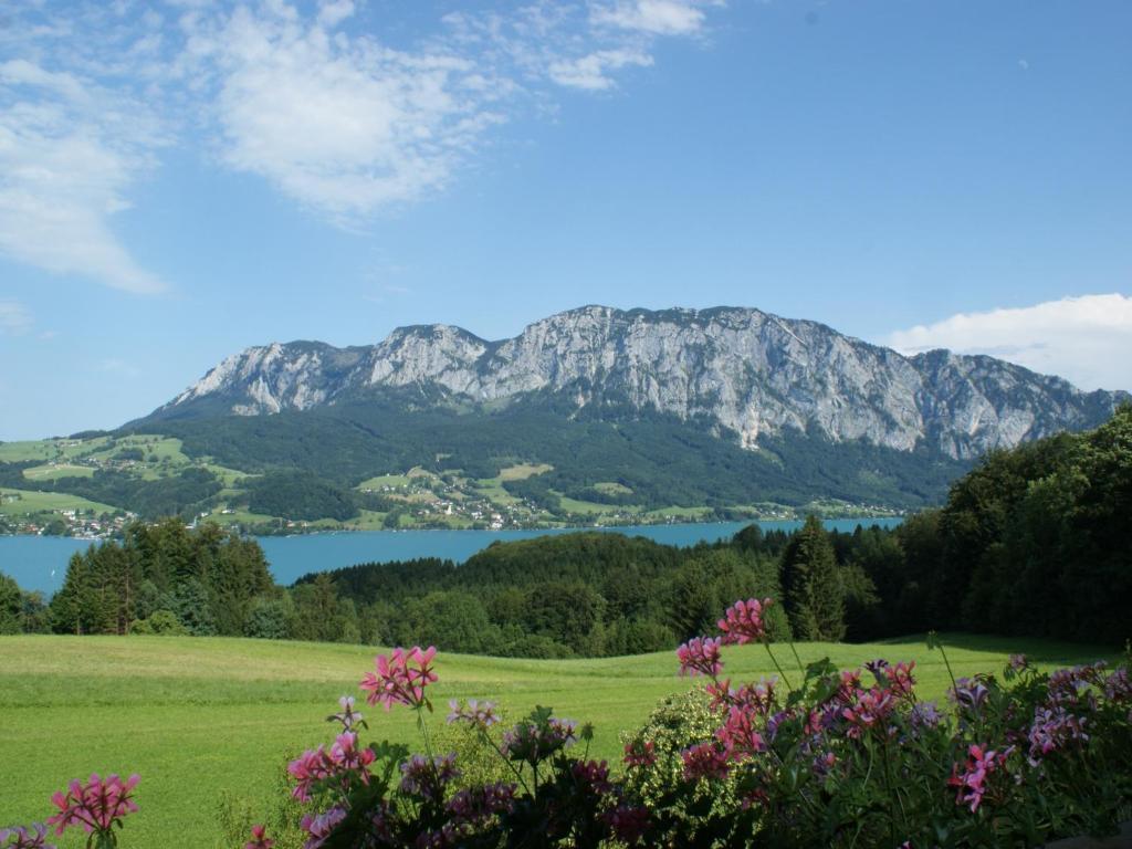 Biobauernhof Nussbaumer Βίλα Nussdorf am Attersee Εξωτερικό φωτογραφία